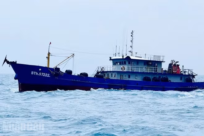 Bộ Tư lệnh Vùng Cảnh sát biển 4 phát hiện, kiểm tra, bắt giữ 3 tàu cá có hành vi vận chuyển trái phép 186 nghìn lít dầu D.O trong đợt cao điểm.