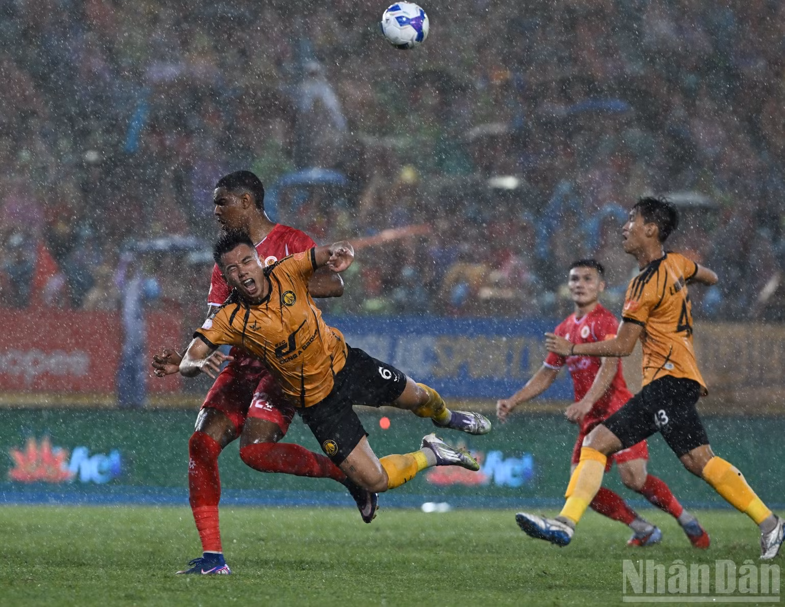 ndo_br_bafc7f341b2e9a70c33f.jpg