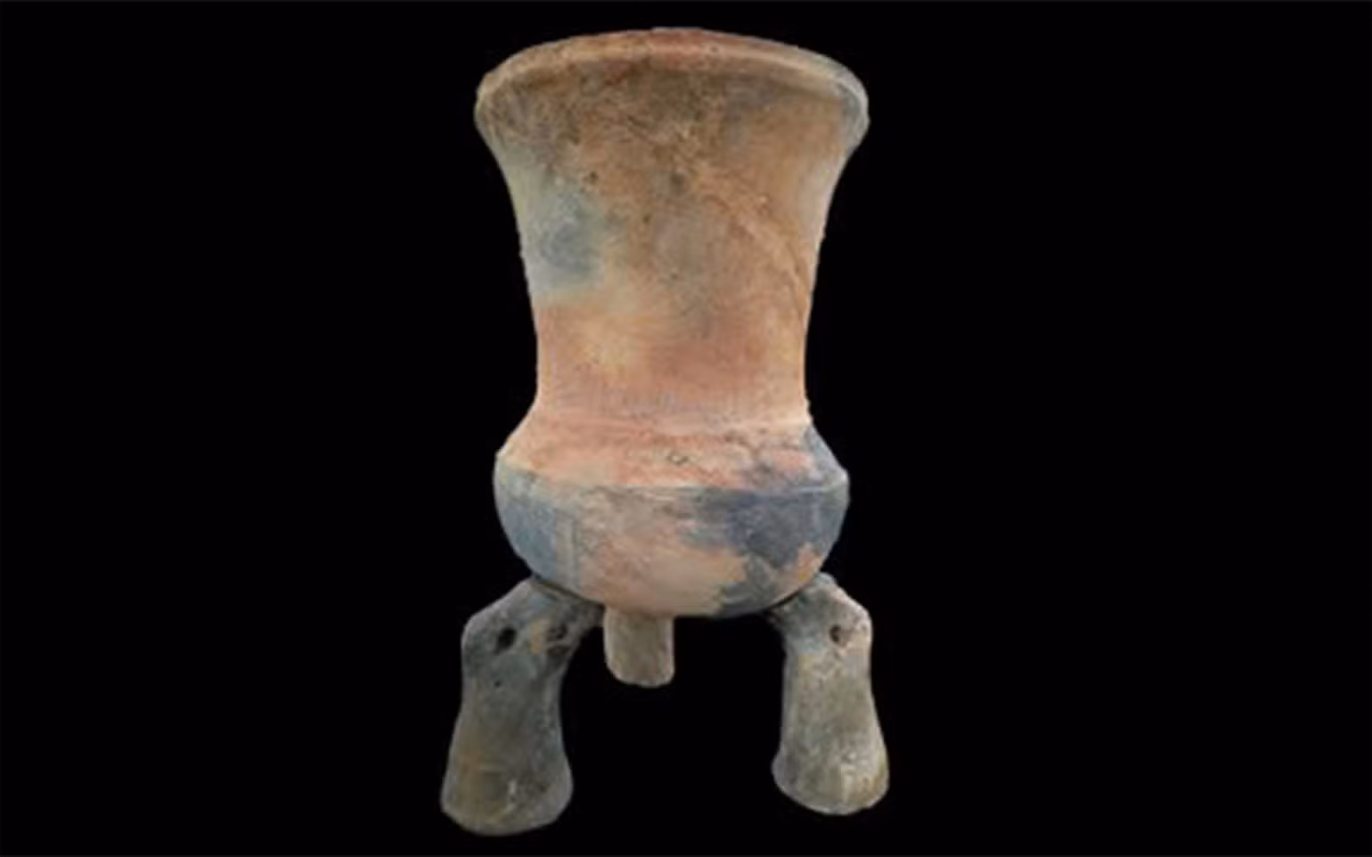 chogom1.jpg