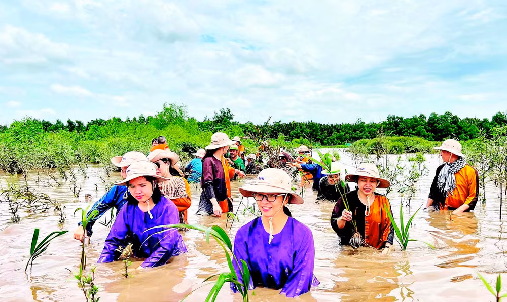Người dân đầu tư, phát triển du lịch sinh thái bên cù lao Lá (ấp Tân Quý, xã Mỹ Chánh Hòa, tỉnh Vĩnh Long).