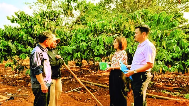Nhờ vốn vay từ Ngân hàng Chính sách xã hội, nhiều hộ gia đình ở Ia Boòng đã từng bước vươn lên thoát nghèo.
