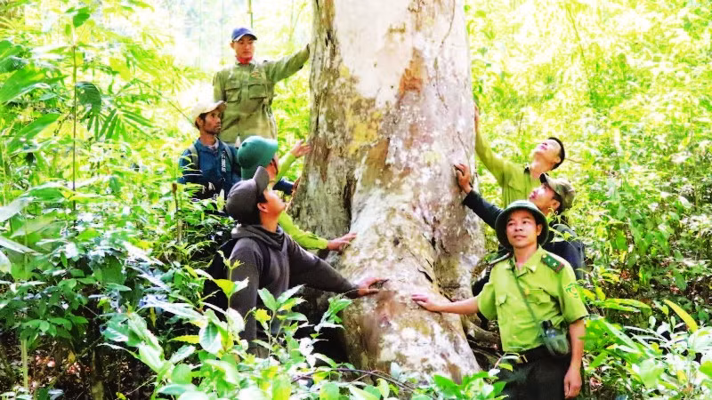 Tỉnh Đắk Lắk đang thúc đẩy phát triển nông lâm nghiệp bền vững thích ứng biến đổi khí hậu.