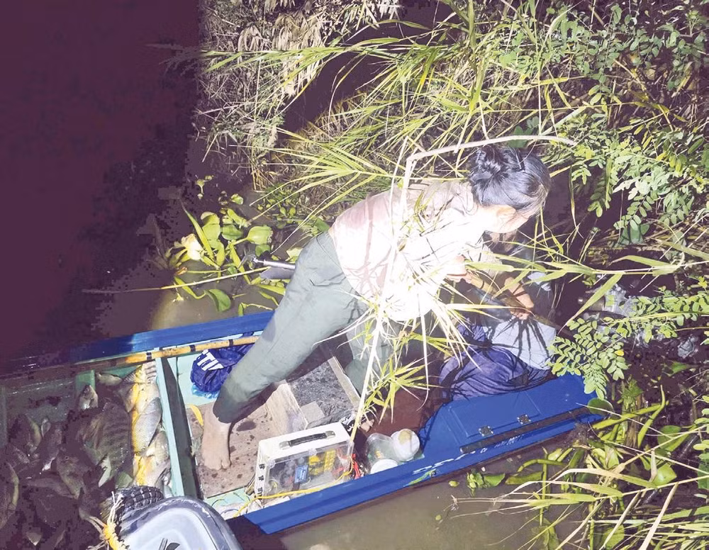 Đối tượng Cao Thị Xương, ngụ phường Mỹ Phước Tây (tỉnh Đồng Tháp) dùng xung điện đánh bắt thủy sản trái phép.