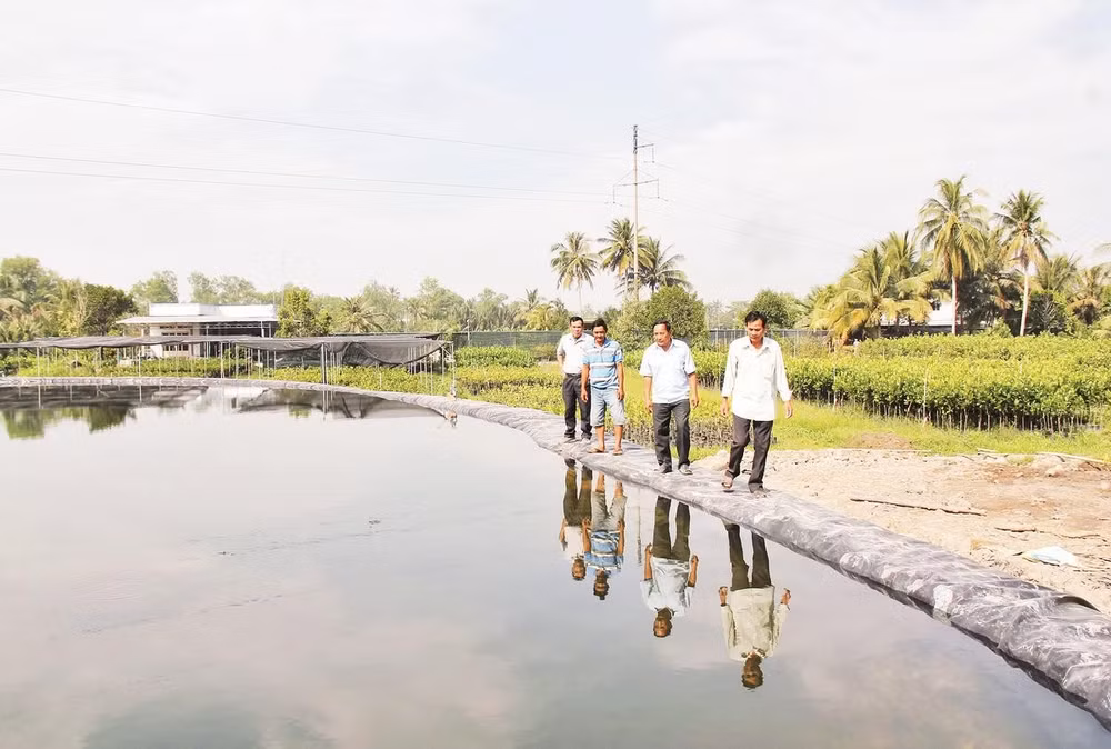 Người dân xã Vĩnh Thành chủ động trữ nước ngọt phục vụ sản xuất, sinh hoạt.