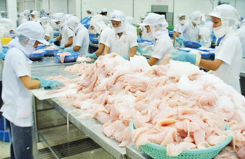 Doanh nghiệp chế biến cá tra phi lê xuất khẩu ở Khu công nghiệp Trà Nóc, Cần Thơ.