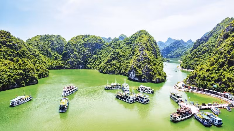 Sức hút từ danh hiệu Di sản thiên nhiên thế giới giúp du lịch Cát Bà có bước tăng trưởng lớn (Ảnh XUÂN THỦY)