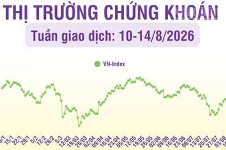 [Infographic] Chứng khoán tuần 10-14/8: Áp lực gia tăng, VN-Index kiểm định vùng giá 1.700 điểm
