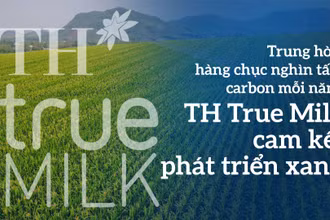 Trung hòa hàng chục nghìn tấn carbon mỗi năm: TH true MILK cam kết phát triển xanh