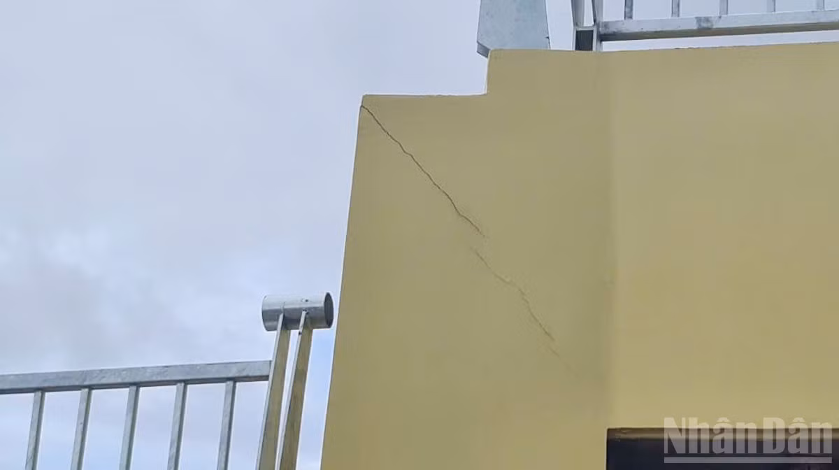 ndo_br_129.jpg