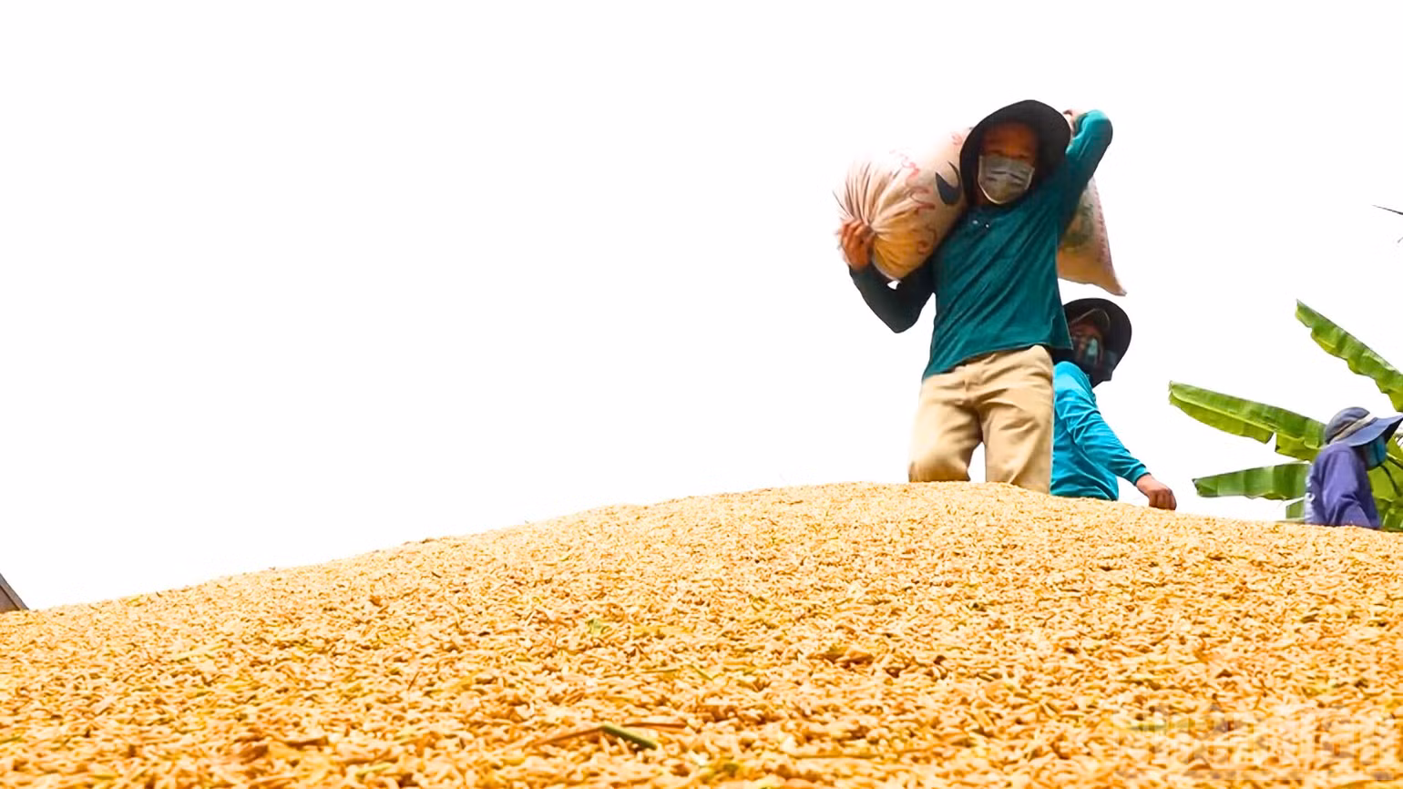 ndo_br_thiet-ke-chua-co-ten-5.png