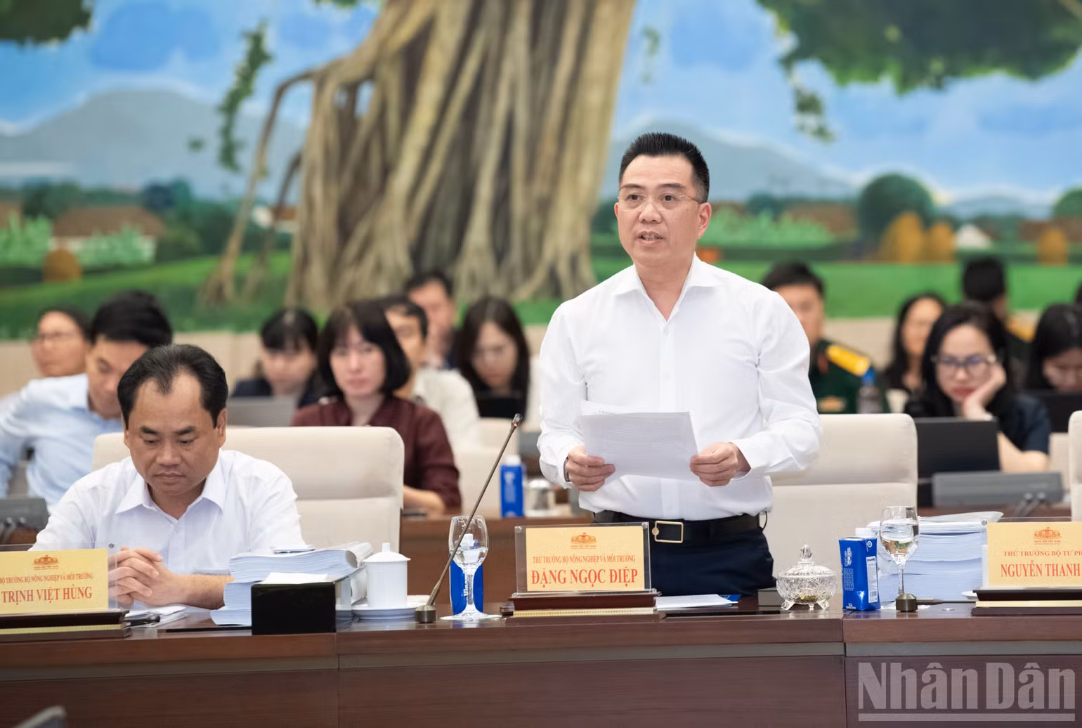 ndo_br_thu-truong-bo-nong-nghiep-va-moi-truong-dang-ngoc-diep-trinh-bay-bao-cao.jpg