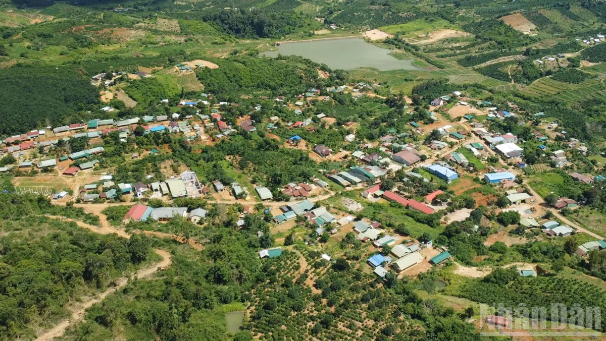 ndo_br_11.jpg
