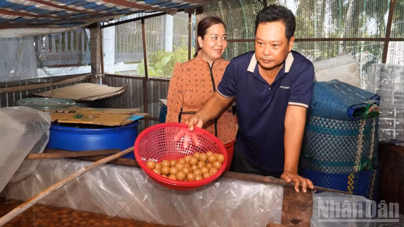 ndo_br_thiet-ke-chua-co-ten-5458.png
