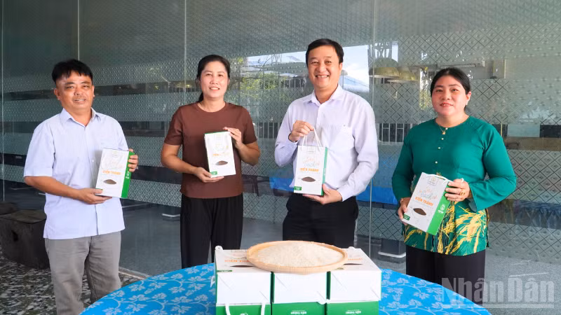 ndo_br_thiet-ke-chua-co-ten-8213.png