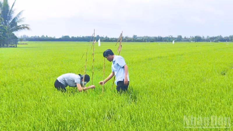 ndo_br_thiet-ke-chua-co-ten-4.png