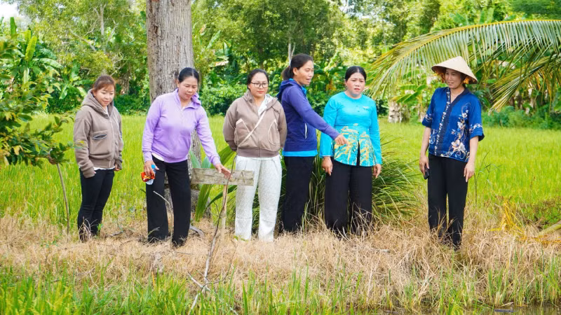 thiet-ke-chua-co-ten-5.png