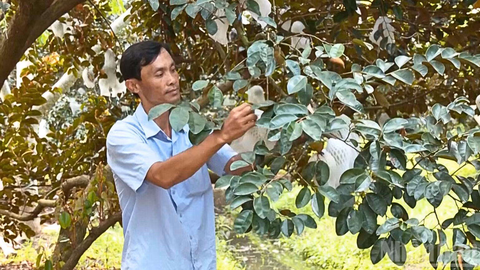 ndo_br_thiet-ke-chua-co-ten-3.png
