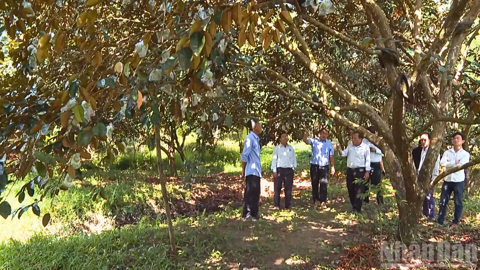 ndo_br_thiet-ke-chua-co-ten-2.png