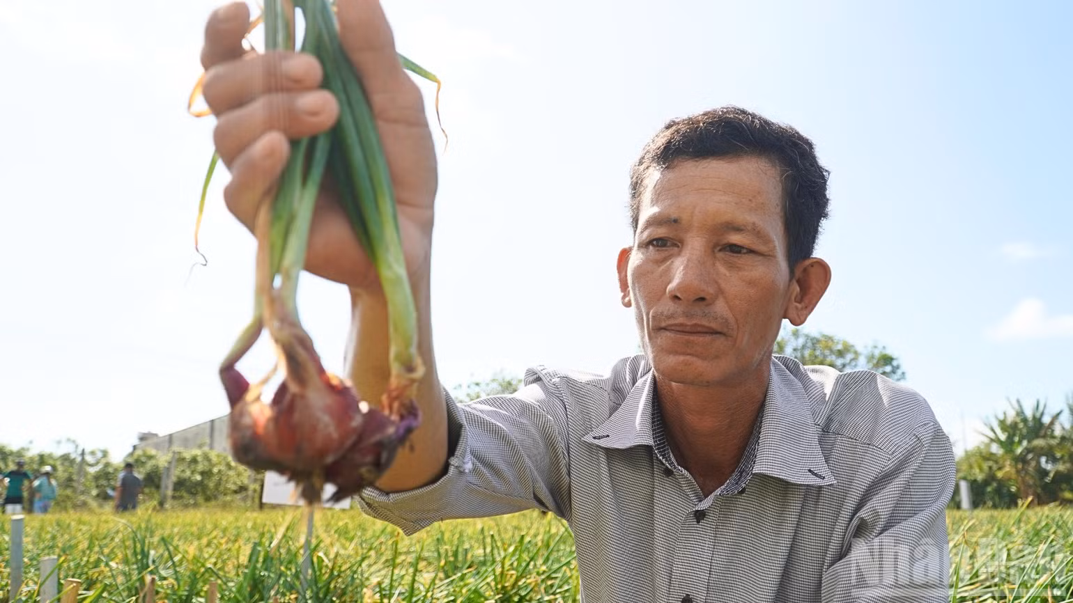 ndo_br_thiet-ke-chua-co-ten-1-6447.png