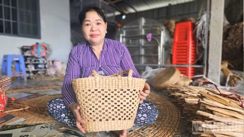 ndo_br_thiet-ke-chua-co-ten-3.png