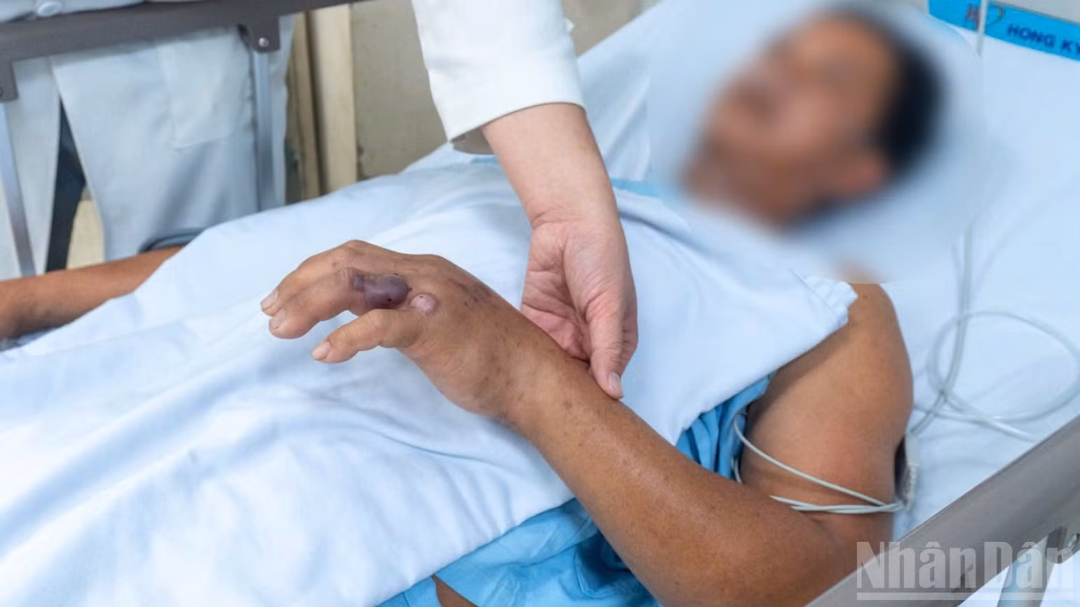 ndo_br_1790652361500-2228385970719259065-6366402146493466895-0a4caac5ac7edc3c17a788f5fe3d2f0b-1769.jpg