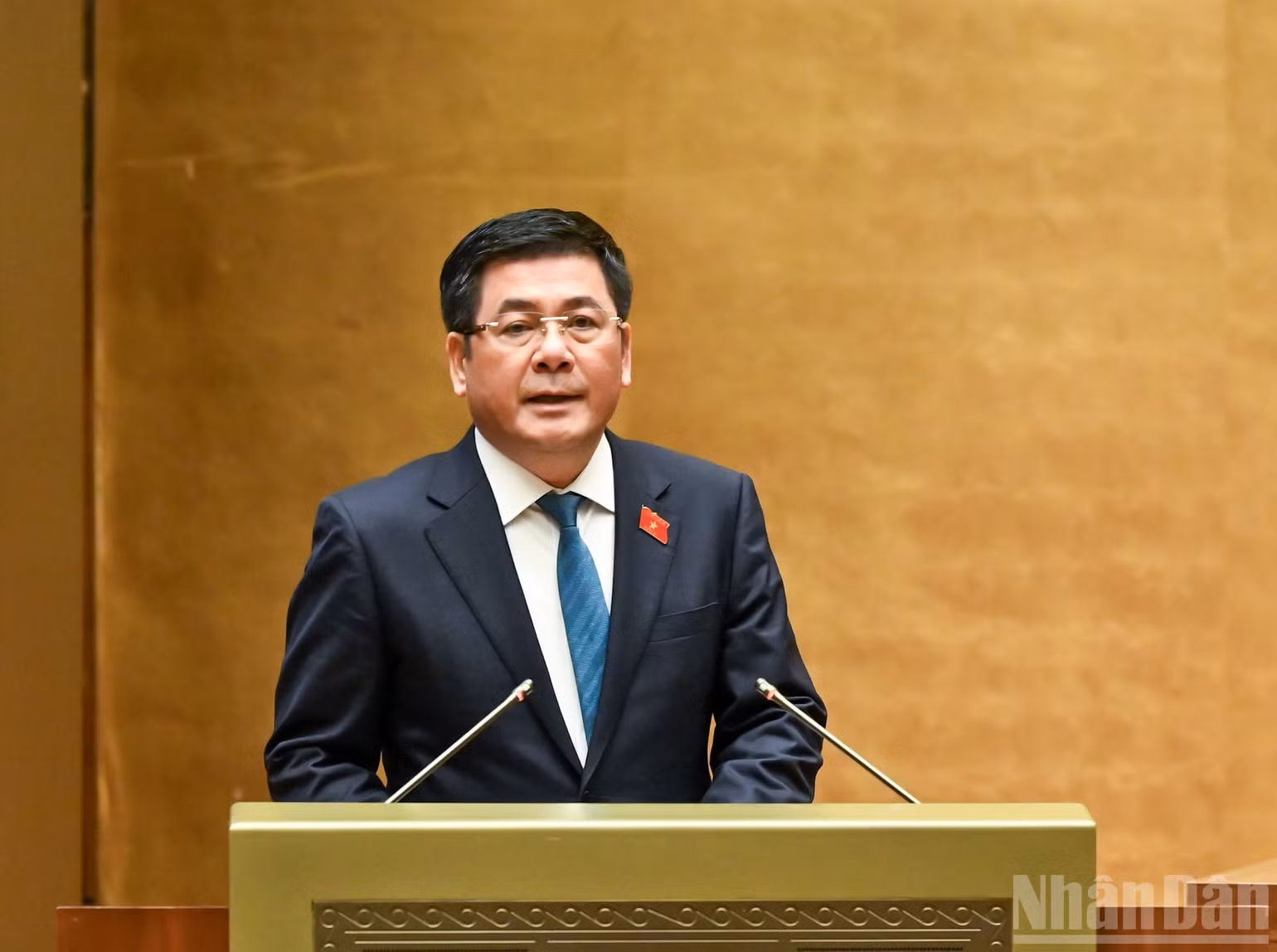 ndo_br_bt-nguyen-hong-dien.jpg