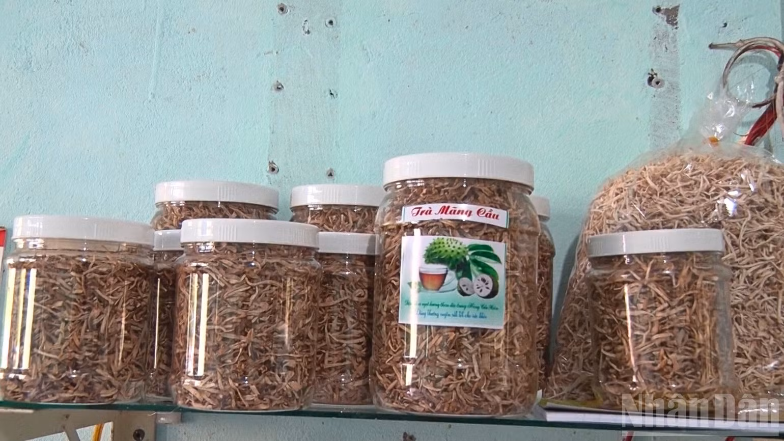 ndo_br_thiet-ke-chua-co-ten-5.png