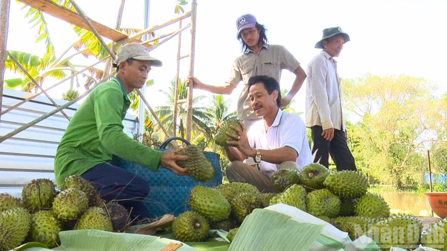 ndo_br_thiet-ke-chua-co-ten-3.png