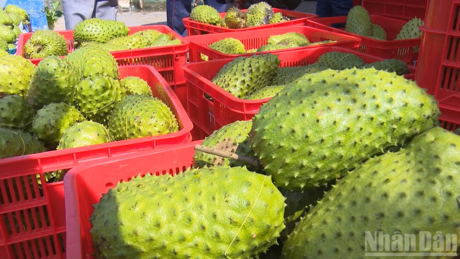 ndo_br_thiet-ke-chua-co-ten-1.png