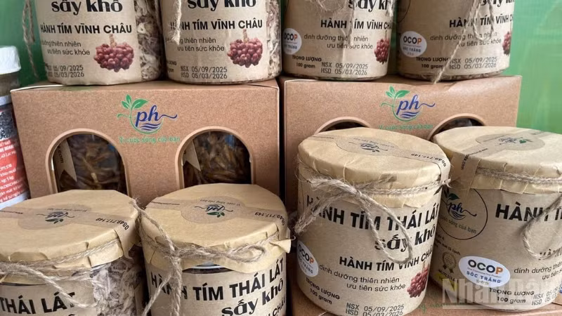 ndo_br_thiet-ke-chua-co-ten-1.png