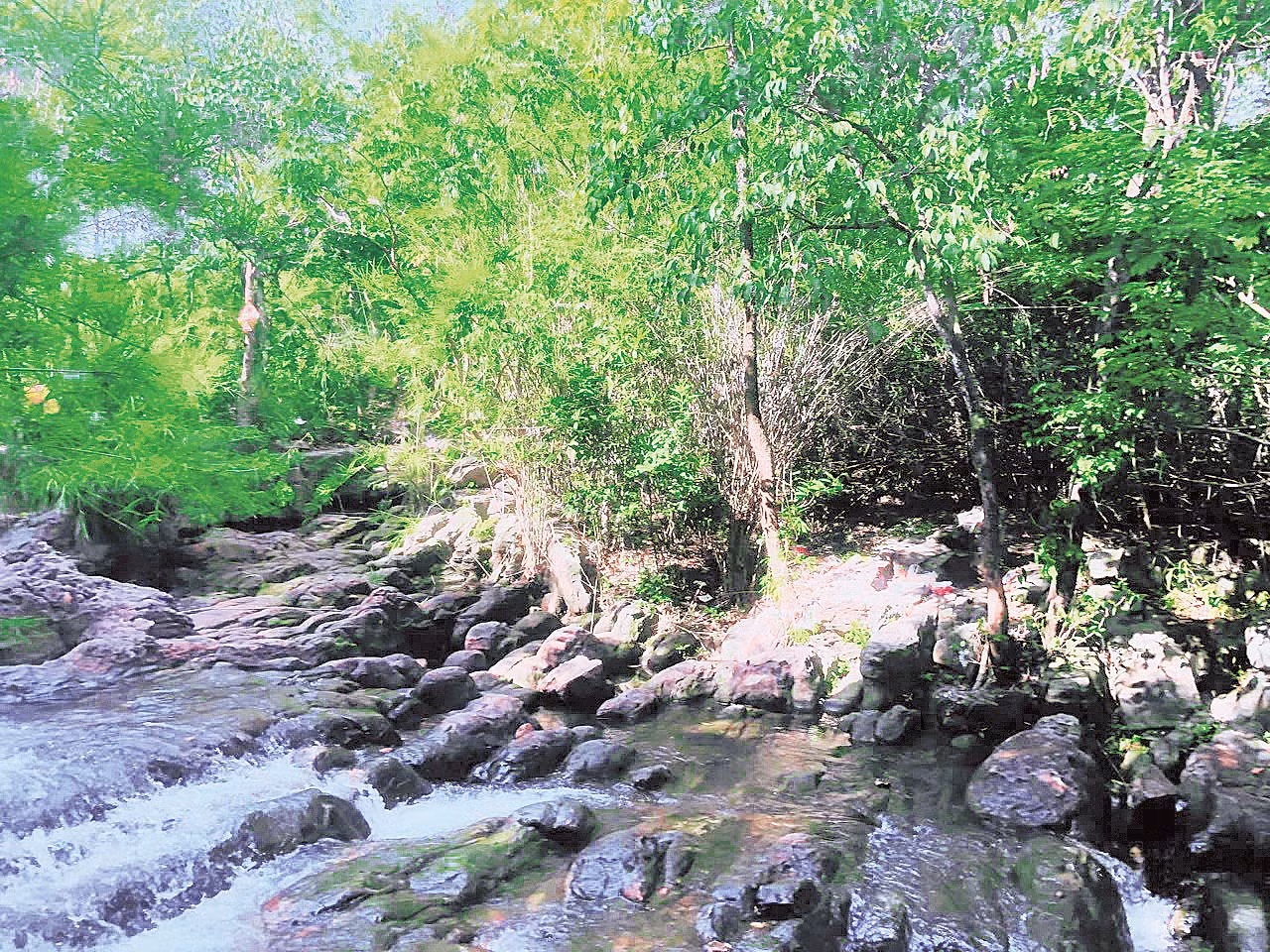 suoi-truc-4.jpg