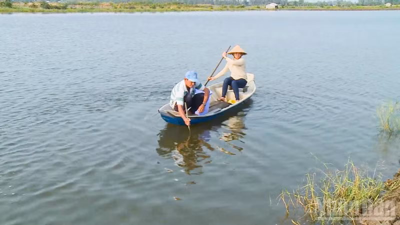 ndo_br_thiet-ke-chua-co-ten-1.png