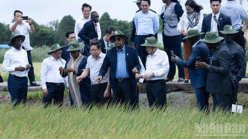 ndo_br_thiet-ke-chua-co-ten-3.png