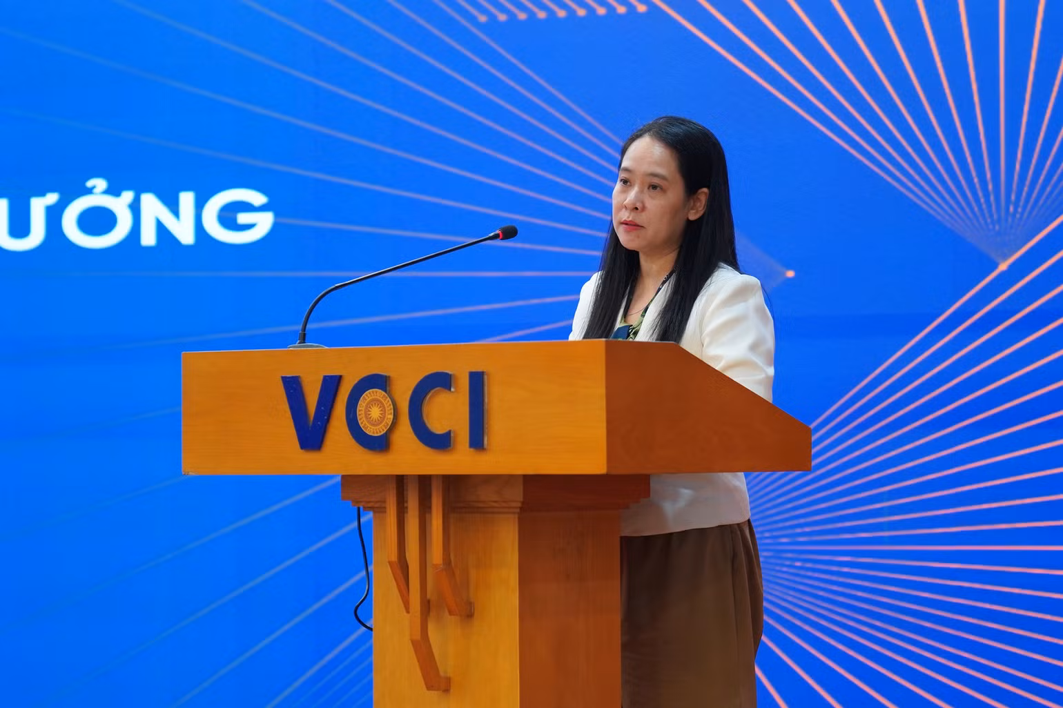 ba-cao-thi-thanh-lan-dai-dien-cuc-quan-ly-giam-sat-chinh-sach-thue-phi-va-le-phi-bo-tai-chinh.jpg