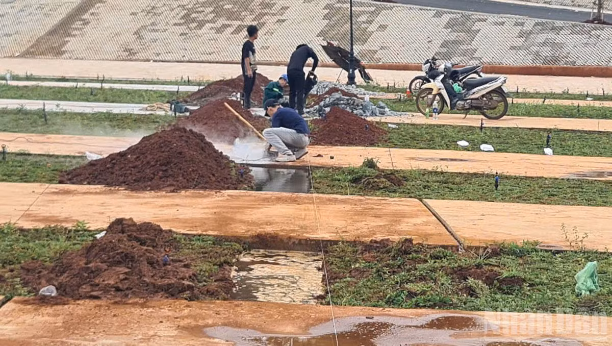 ndo_br_2022.jpg