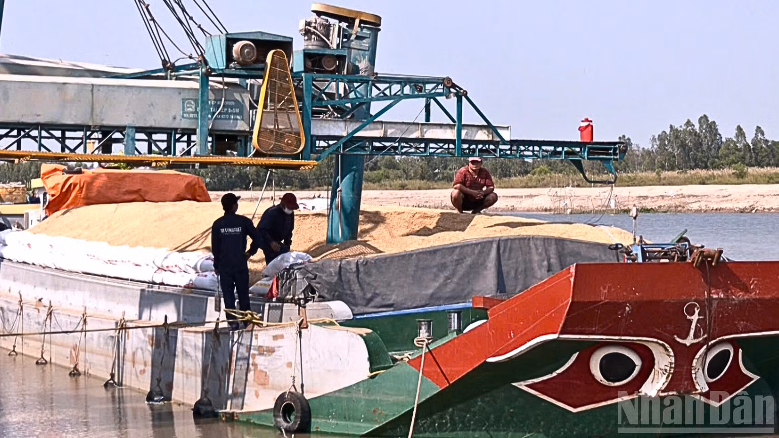 ndo_br_thiet-ke-chua-co-ten-3.png