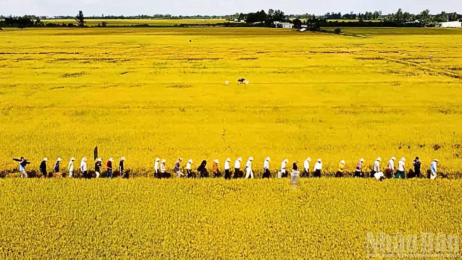 ndo_br_thiet-ke-chua-co-ten-2.png