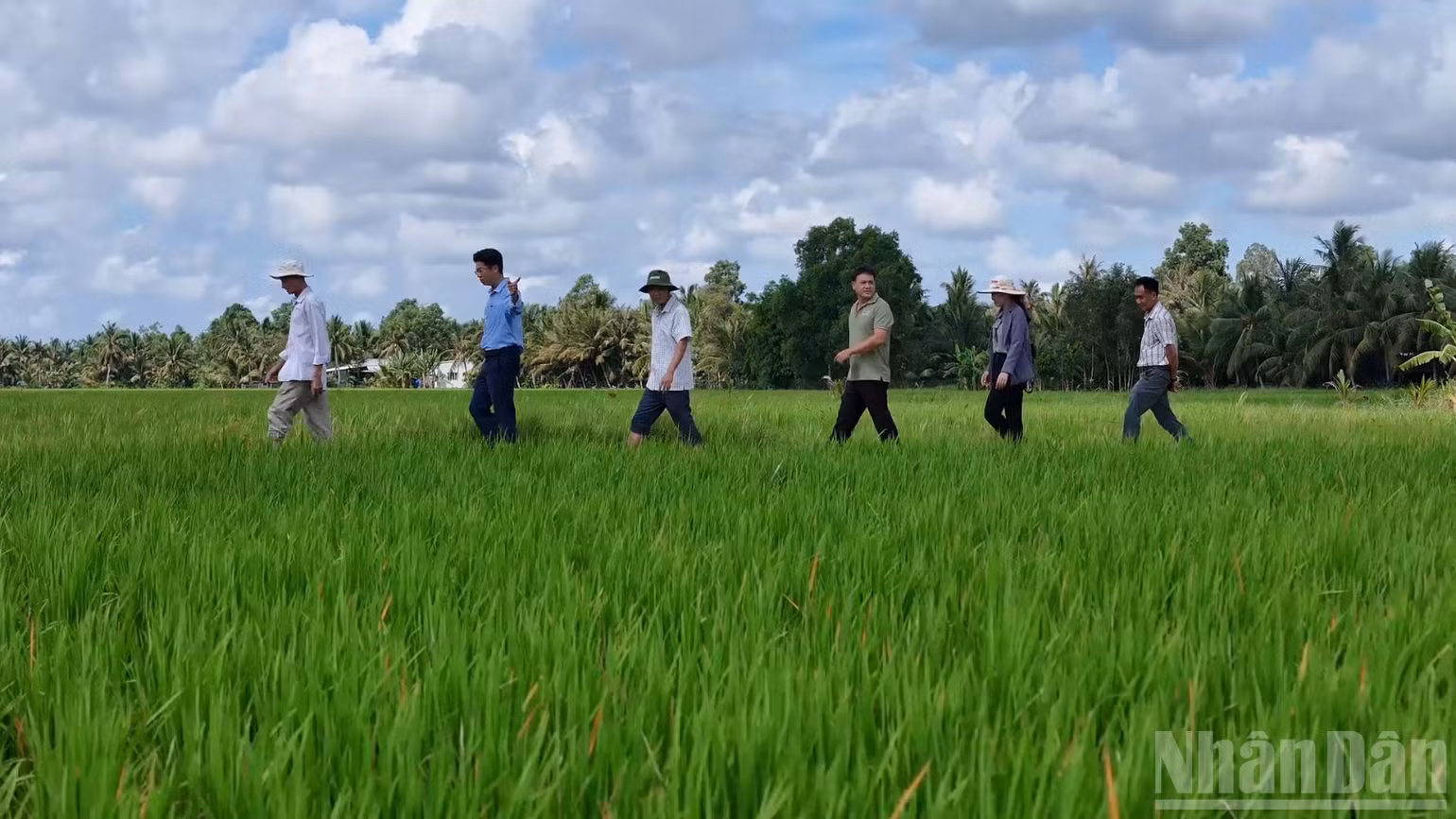 ndo_br_thiet-ke-chua-co-ten-4.png
