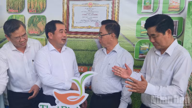ndo_br_thiet-ke-chua-co-ten-3.png