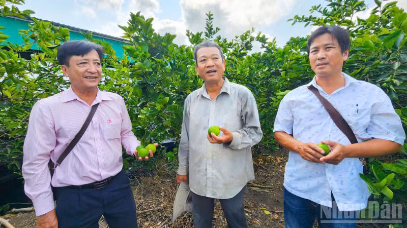 ndo_br_thiet-ke-chua-co-ten-3.png
