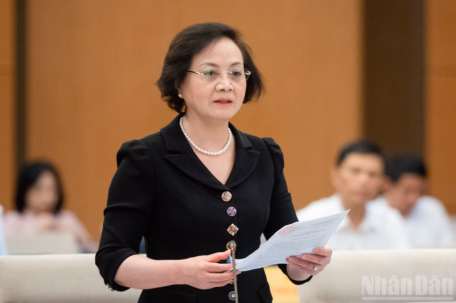 ndo_br_z61-4357-2-bo-truong-bo-noi-vu-pham-thi-thanh-tra.jpg