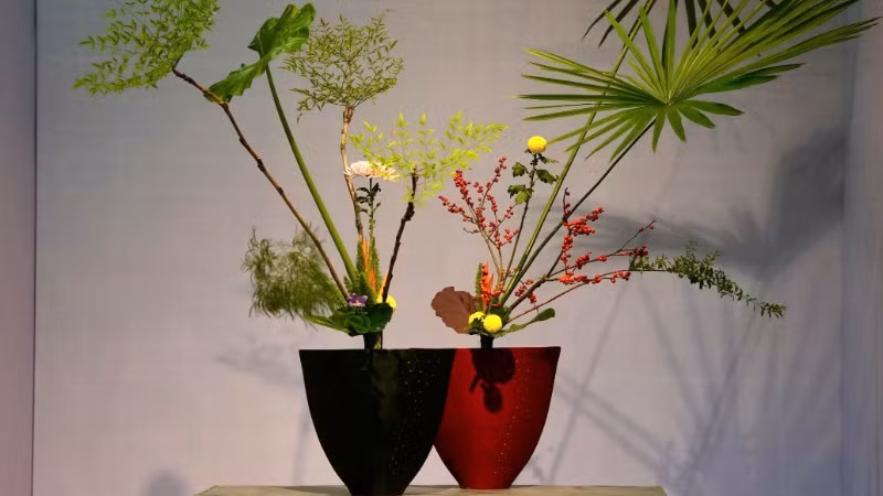 Vẻ đẹp tinh tế của các tác phẩm tại triển lãm Ikebana Hà Nội lần thứ 8.