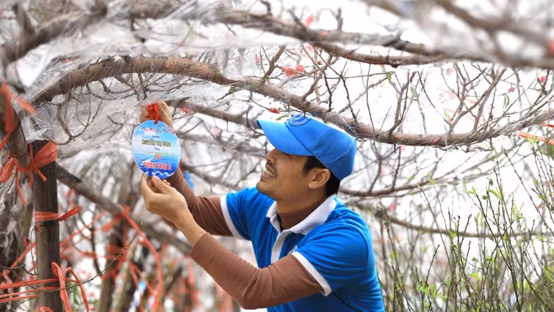 Mỗi gốc đào, quất xuân đều được gắn tên cá nhân, đơn vị tặng.