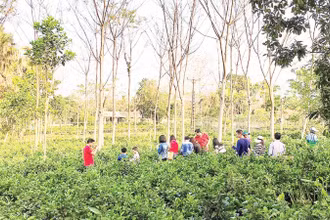 Những mô hình du lịch sinh thái như Trang trại đồng quê Ba Vì ngày càng được du khách ưa chuộng.