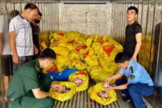 Các lực lượng chống buôn lậu gồm: Quản lý thị trường, Bộ đội biên phòng phát hiện, bắt giữ xe chở thực phẩm "bẩn" trên địa bàn huyện Lộc Bình (Lạng Sơn). 