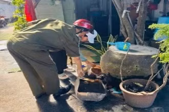 Phát động chiến dịch tổng vệ sinh môi trường, diệt lăng quăng, loại bỏ vật chứa nước trên địa bàn thành phố.