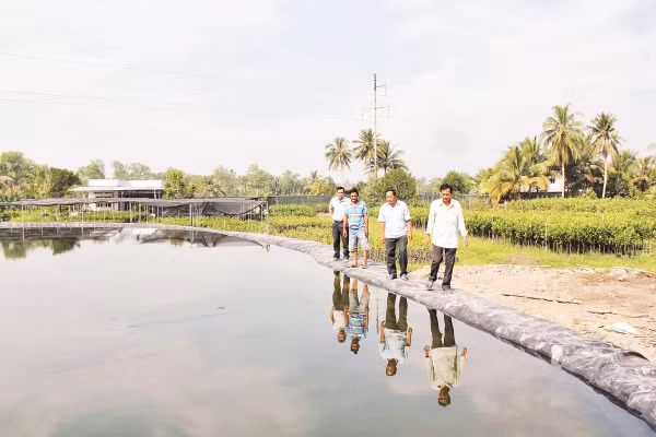 Người dân xã Vĩnh Thành chủ động trữ nước ngọt phục vụ sản xuất, sinh hoạt.