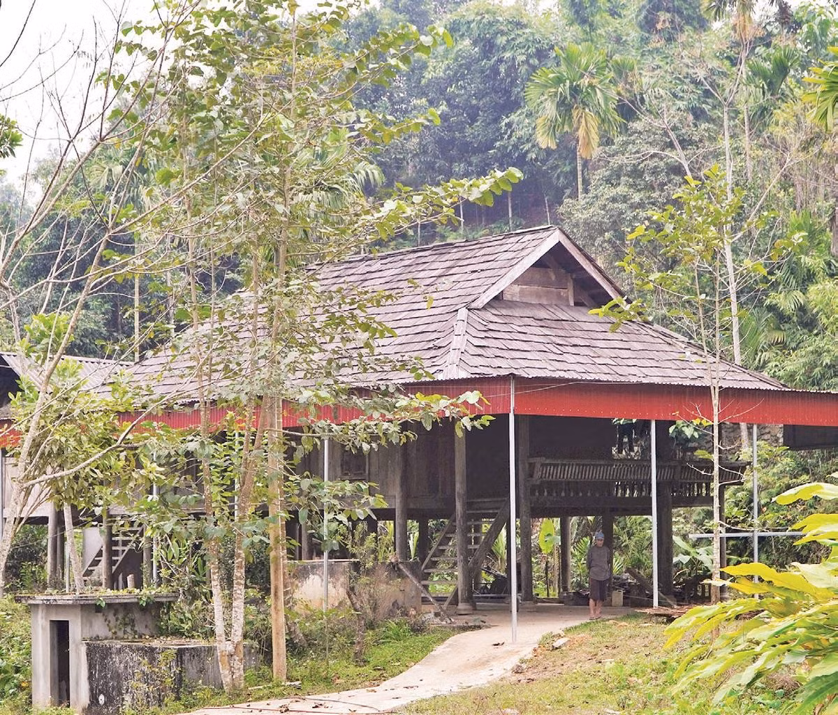 Giữa nhịp sống hiện đại, những mái nhà samu vẫn lặng lẽ hiện diện làm nên dáng hình riêng biệt và sức hấp dẫn bền lâu cho bản Thái cổ Mường Đán.
