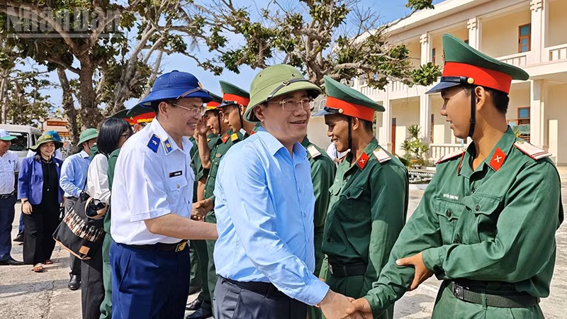 ndo_tl_3.jpg