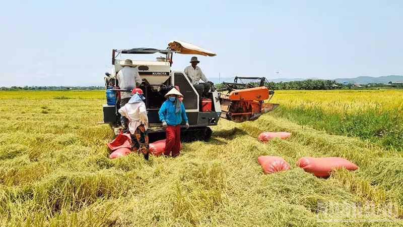 Nước tưới tiêu đến tận ruộng đồng giúp người dân có những mùa bội thu.